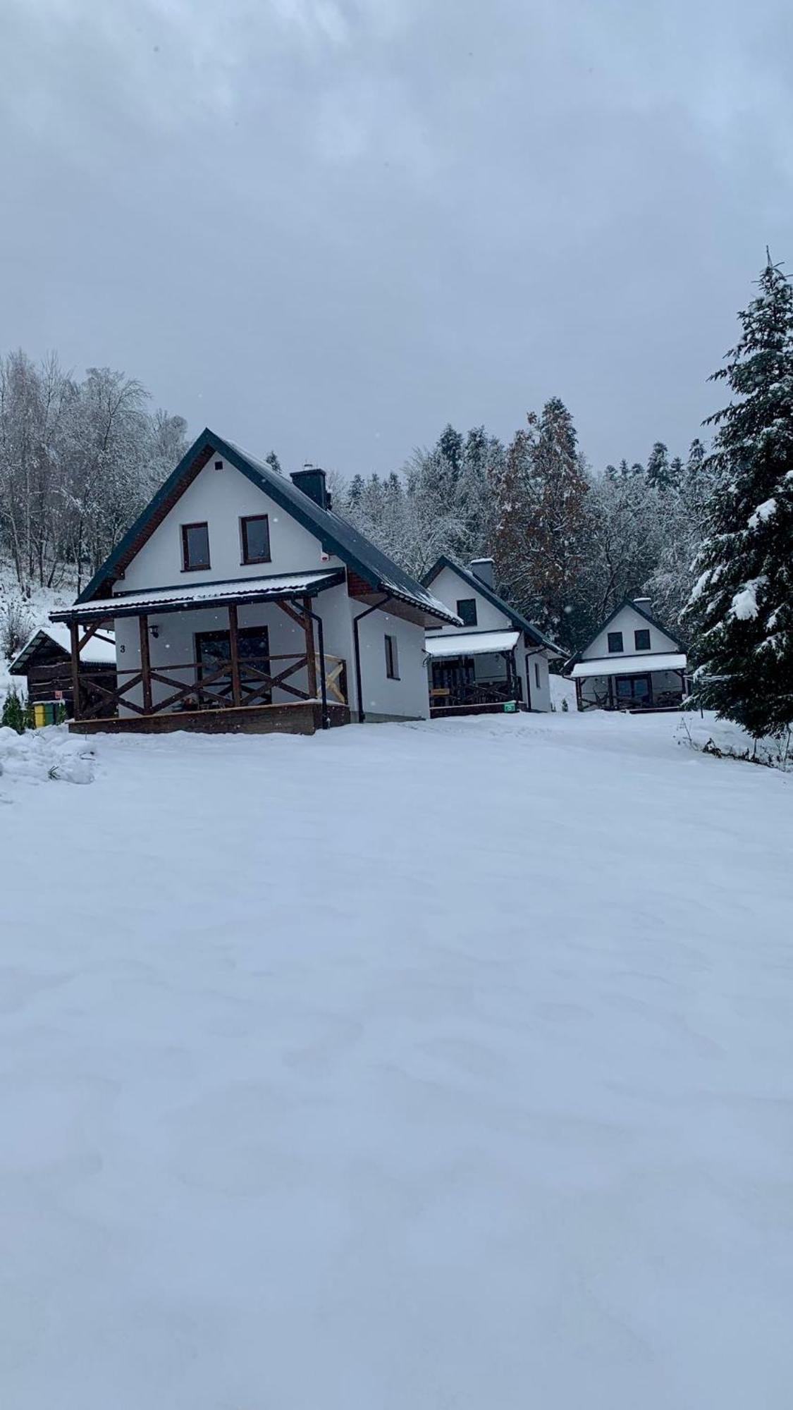 Potok - Bieszczady Stefkowa