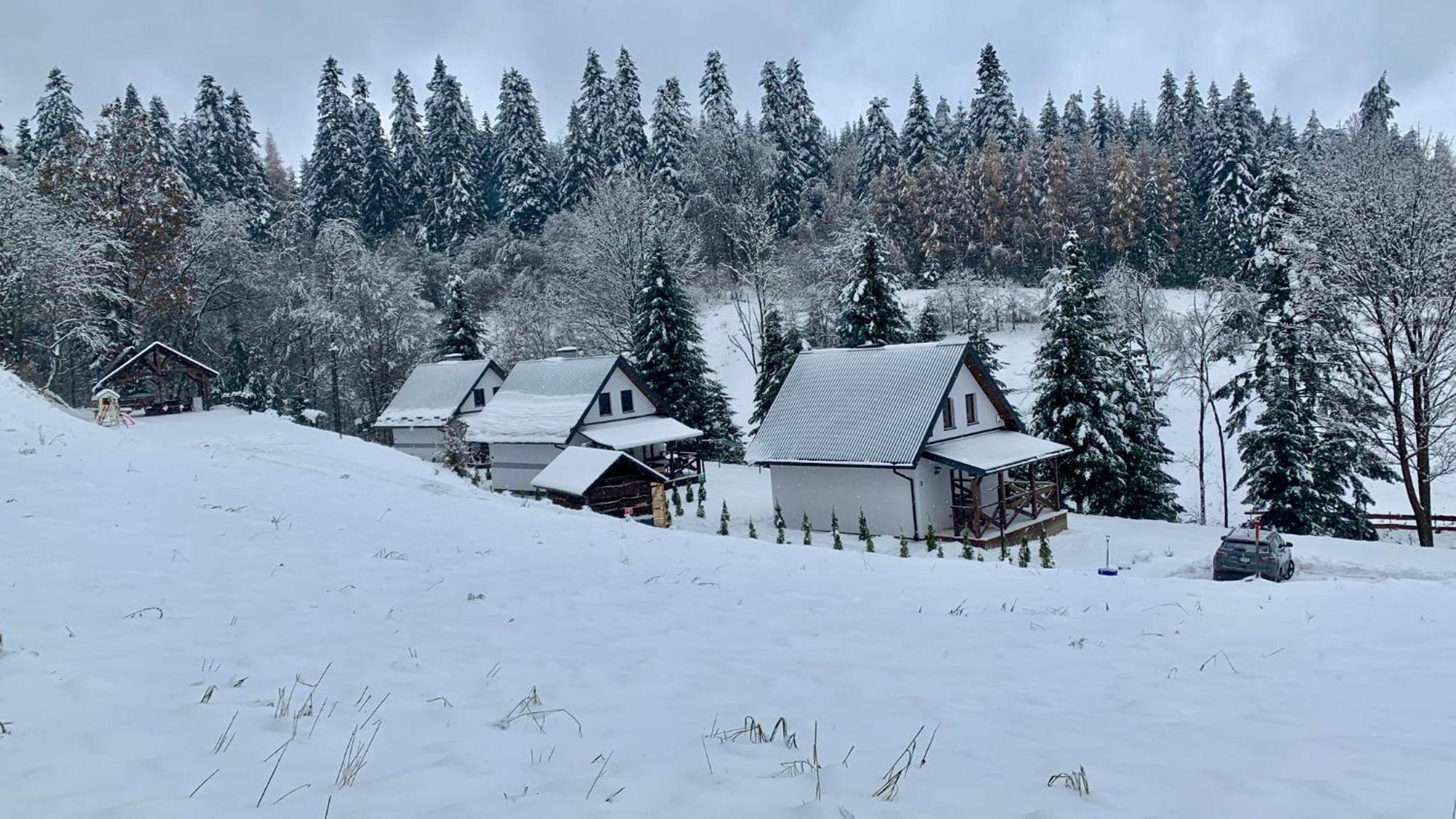 Potok - Bieszczady Holiday home *