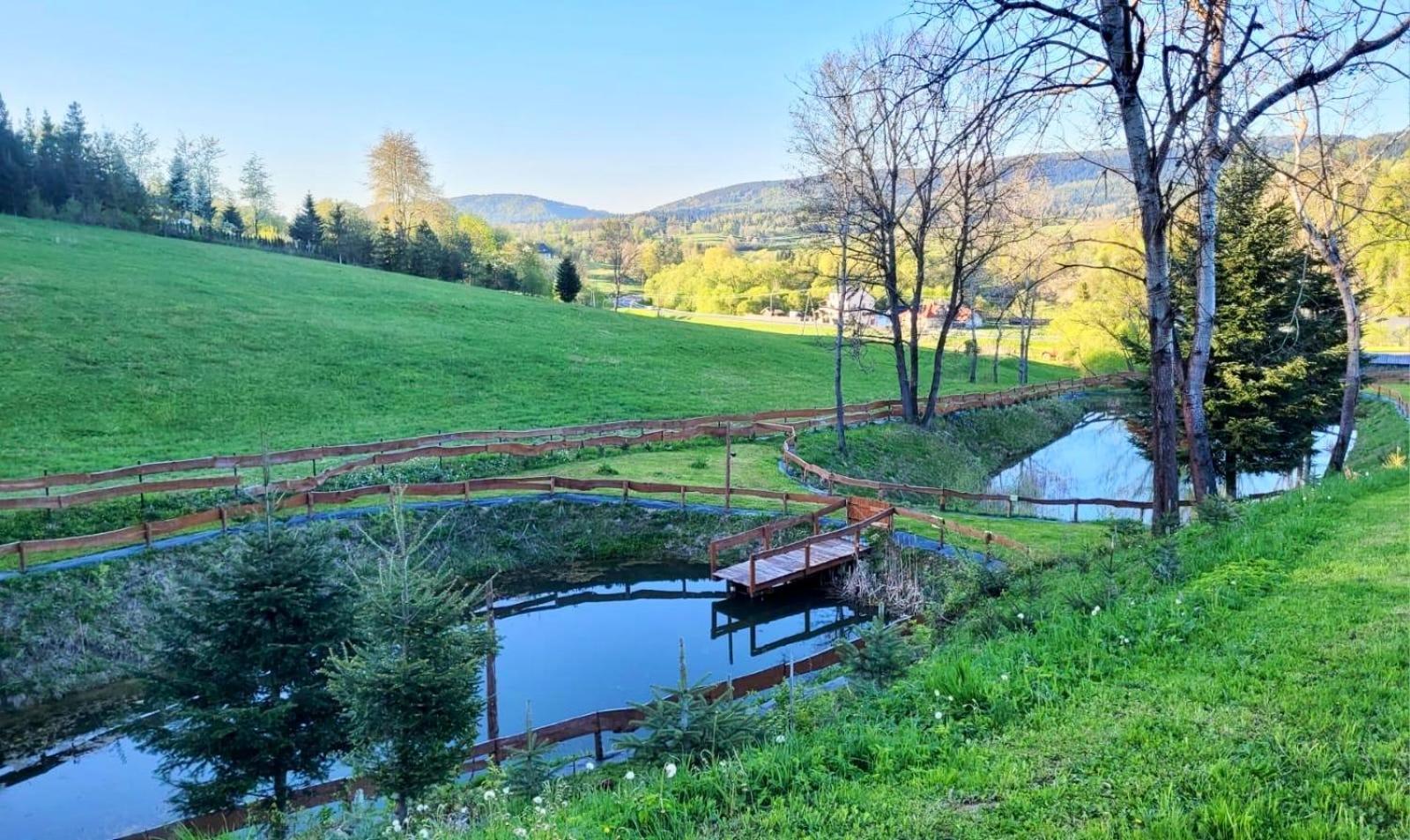 Potok - Bieszczady Stefkowa